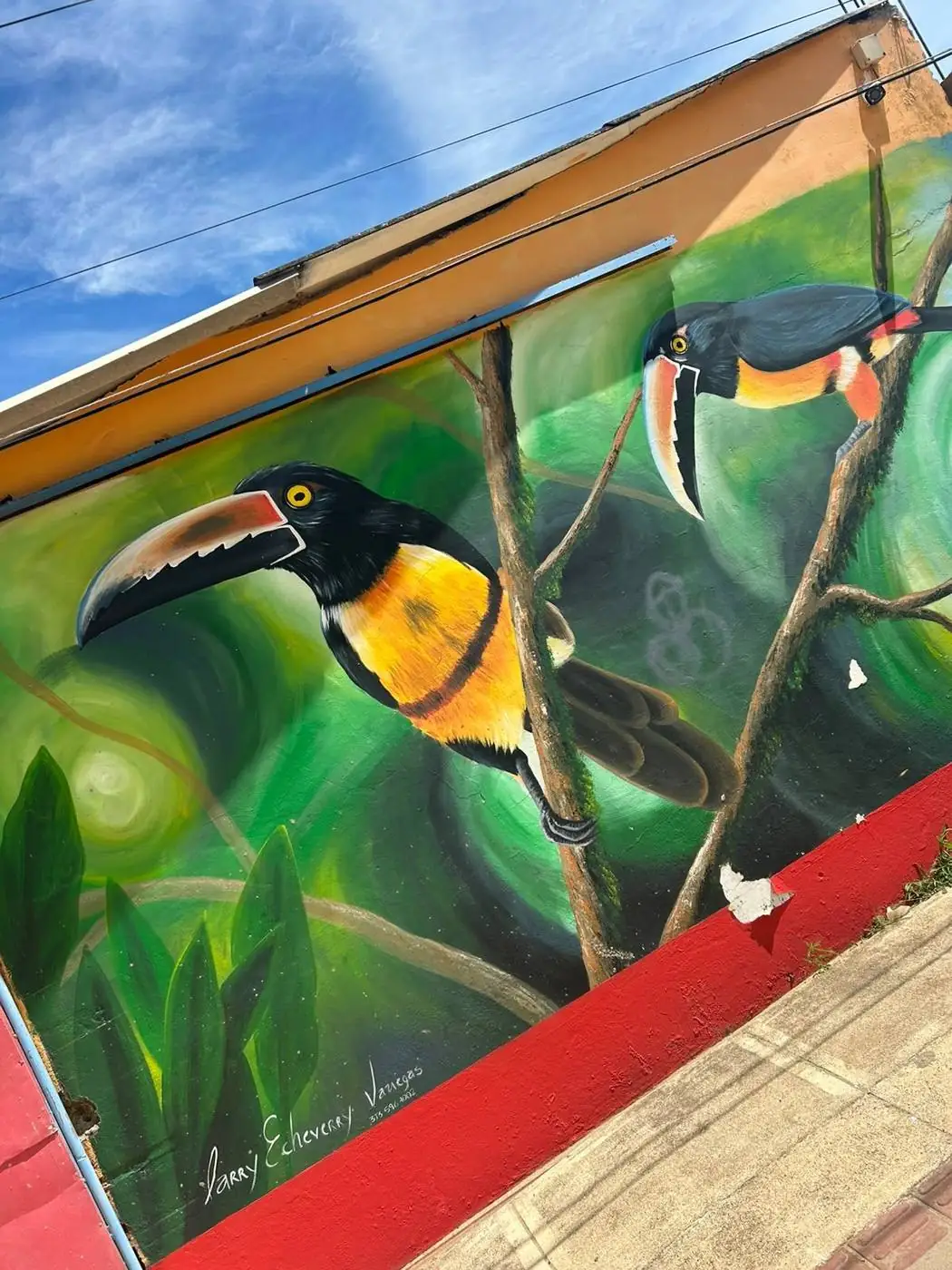 Mural de tucanes en las calles de Necoclí